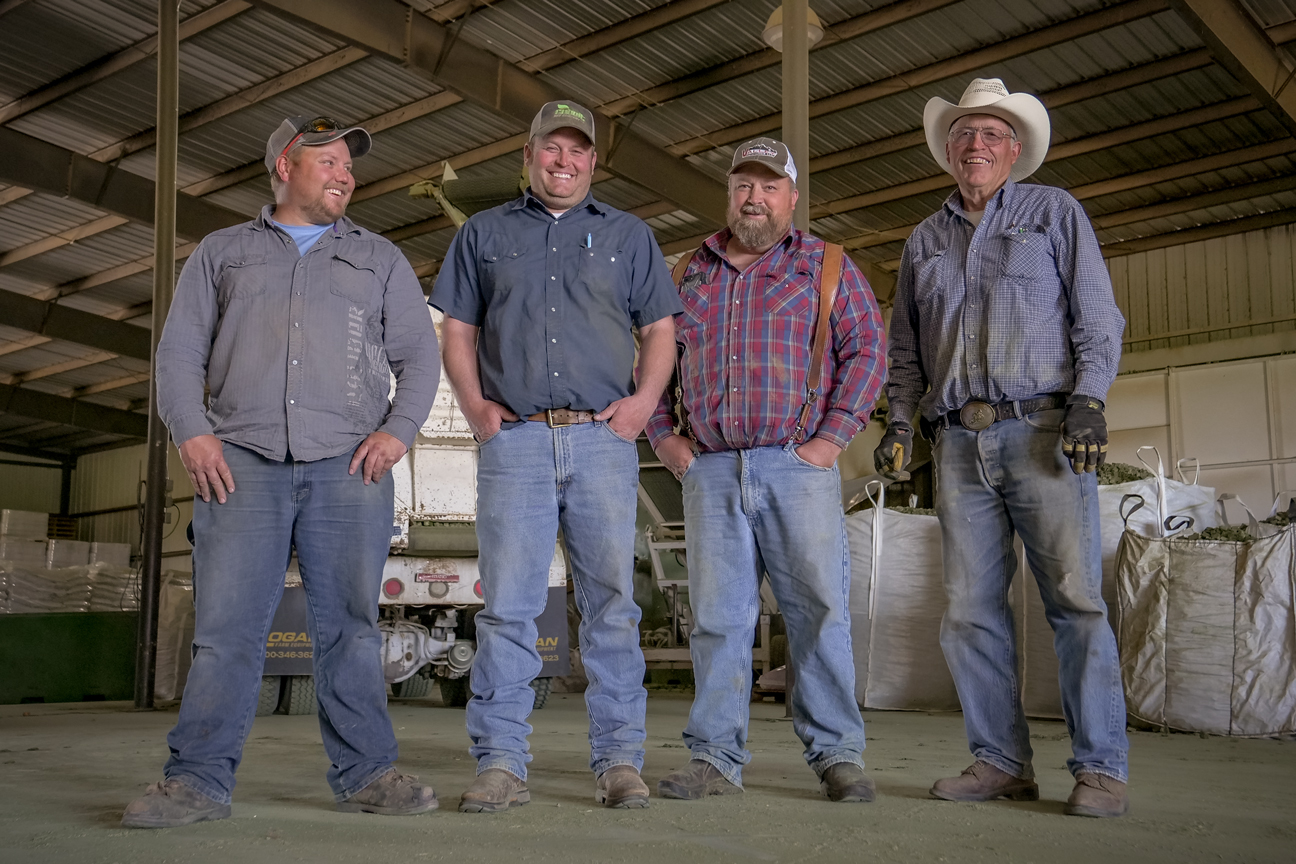 CubeIt Hay | Premium Compressed Cubed Hay Distributors